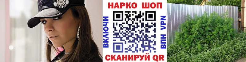 Цена Тавда Псилоцибиновые грибы  Метамфетамин  Амфетамин  Codein  Гашиш  Alpha PVP  Кокаин  МАРИХУАНА 