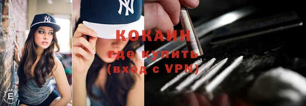 дмт Пересвет