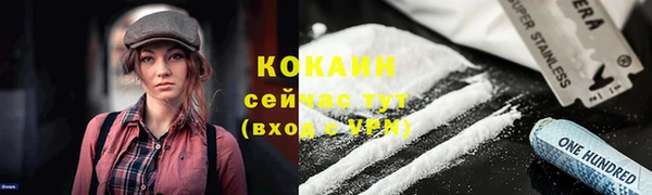 стафф Осинники