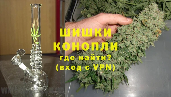 дмт Пересвет