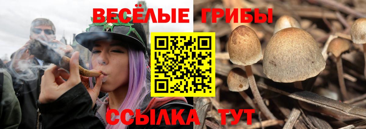 даркнет сайт  Вход с VPN  Тавда  Галлюциногенные грибы MAGIC MUSHROOMS 