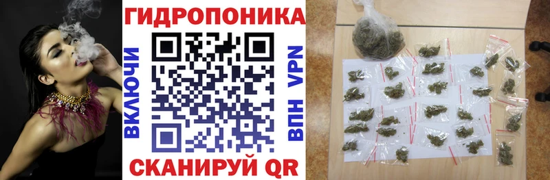 Канабис гибрид  закладки  Тавда 